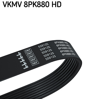 SKF Hosszbordásszíj VKMV8PK880HD_SKF